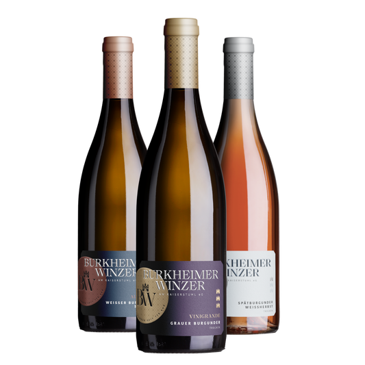 Burgunder Weinprobe